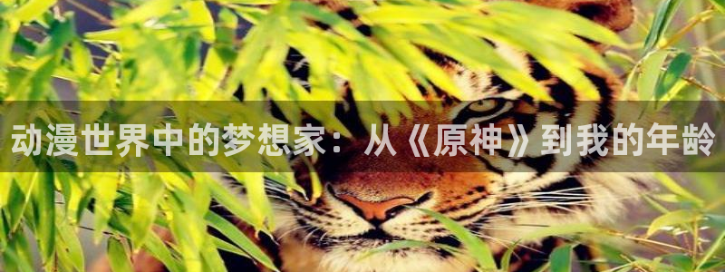 omofun动漫网在线观看