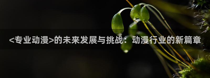 - omofun：<专业动漫>的未来发展与挑战：动漫行业的新篇章