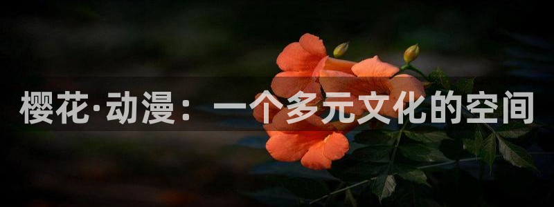 #omofun：樱花·动漫：一个多元文化的空间