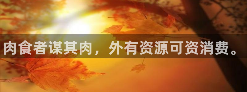omofun是正经软件吗：肉食者谋其肉，外有资源可资消费。