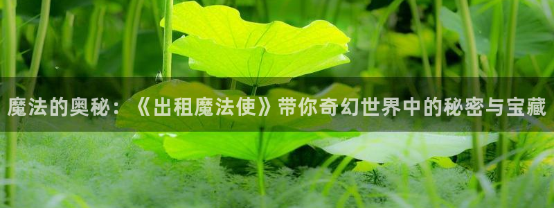 omofun一个：魔法的奥秘：《出租魔法使》带你奇幻世界中的秘密与宝藏