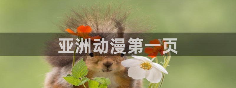 omofun最新下载：亚洲动漫第一页