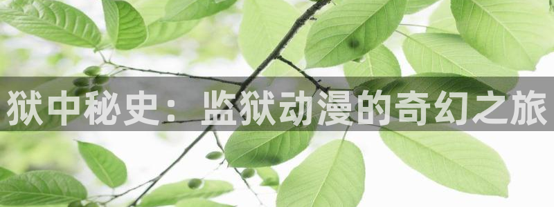 omofun官网入口链接：狱中秘史：监狱动漫的奇幻之旅