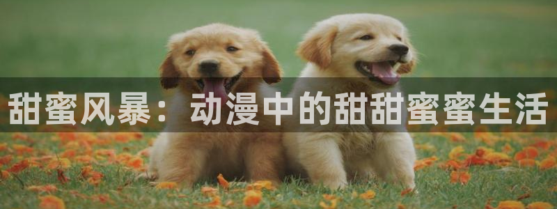 omofun正版官方链接：甜蜜风暴：动漫中的甜甜蜜蜜生活