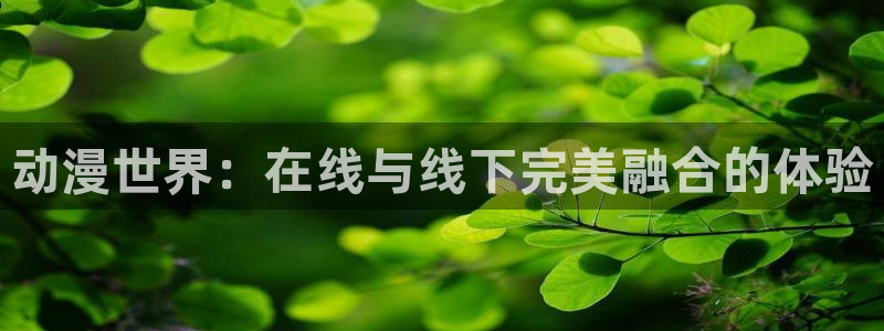 omofun动漫网在线观看：动漫世界：在线与线下完美融合的体验