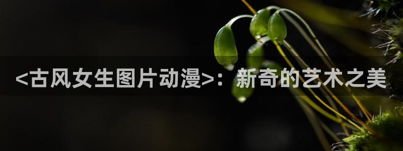omofun官方下载入口：<古风女生图片动漫>：新奇的艺术之美
