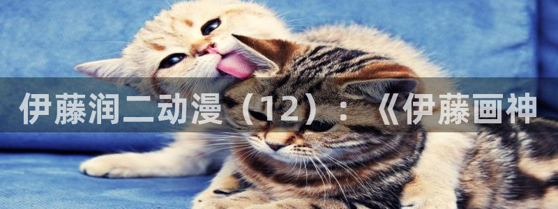omofun传送门入口