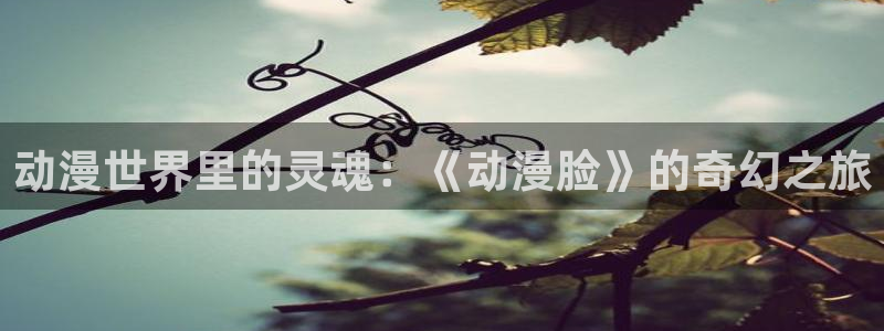 omofun官网入口下载最新版