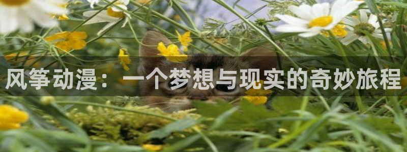 omofun弹幕网
