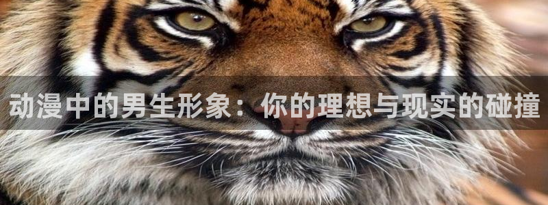 omofun动漫网官网