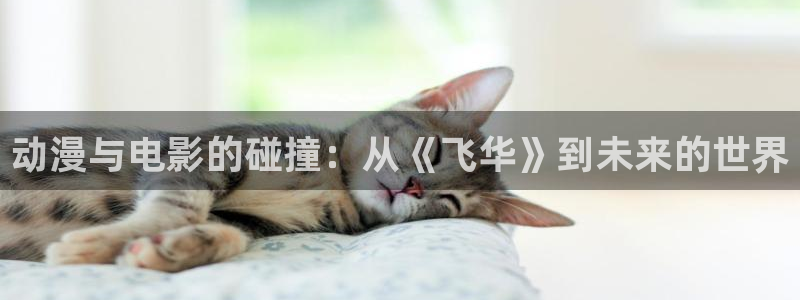 动漫共和国omofun