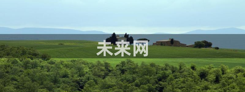 omofun官网下载最新版