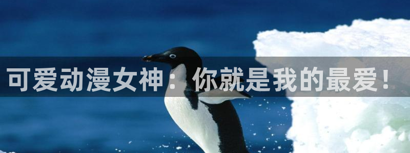 omofun注册
