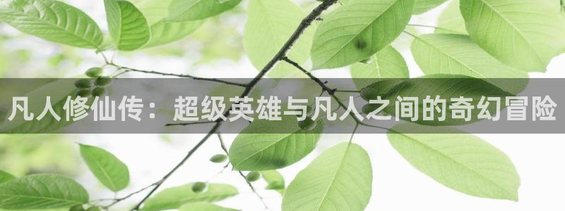 omofun动漫在线观看看：凡人修仙传：超级英雄与凡人之间的奇幻冒险