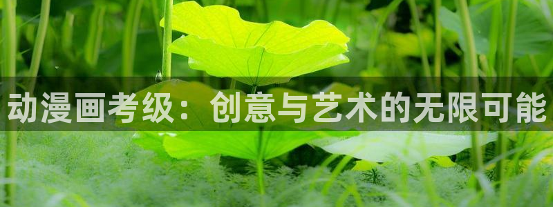 omofun网页版官网：动漫画考级：创意与艺术的无限可能